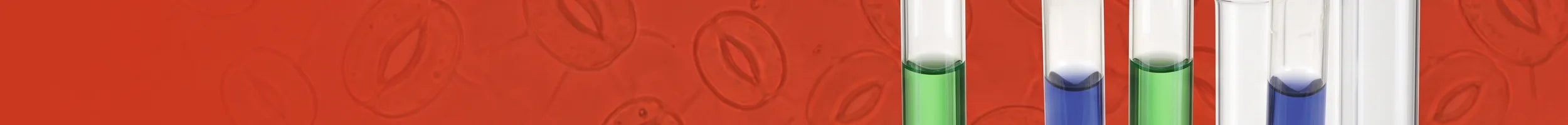 Glass tubes collection banner