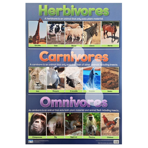 Herbivores, Carnivores and Omnivores Wall Chart