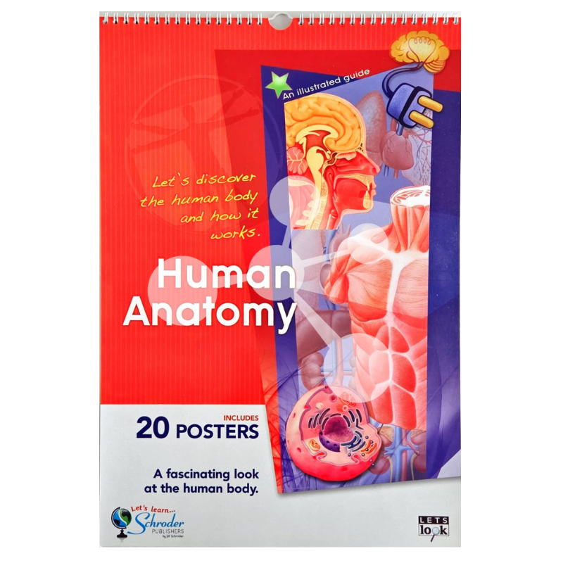 Human Anatomy Flip Chart