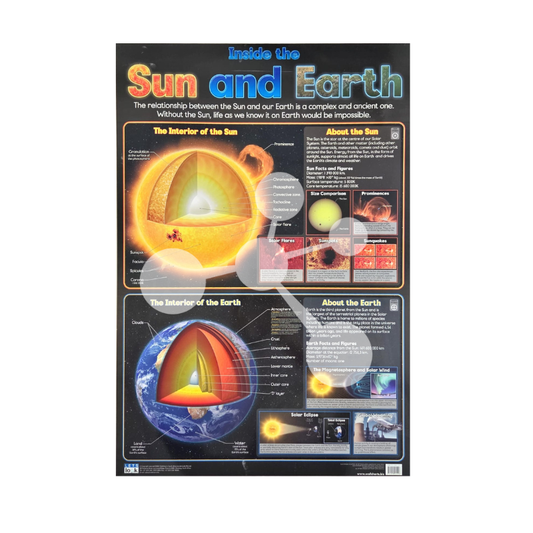 Inside the Sun and Earth Wall Chart
