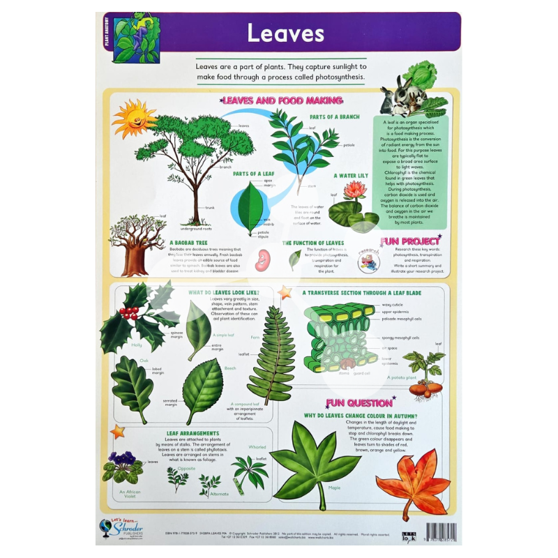 Leaves Wall Chart