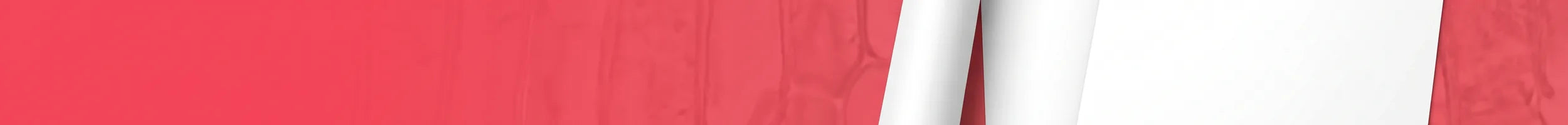 Let's Look Publishers banner