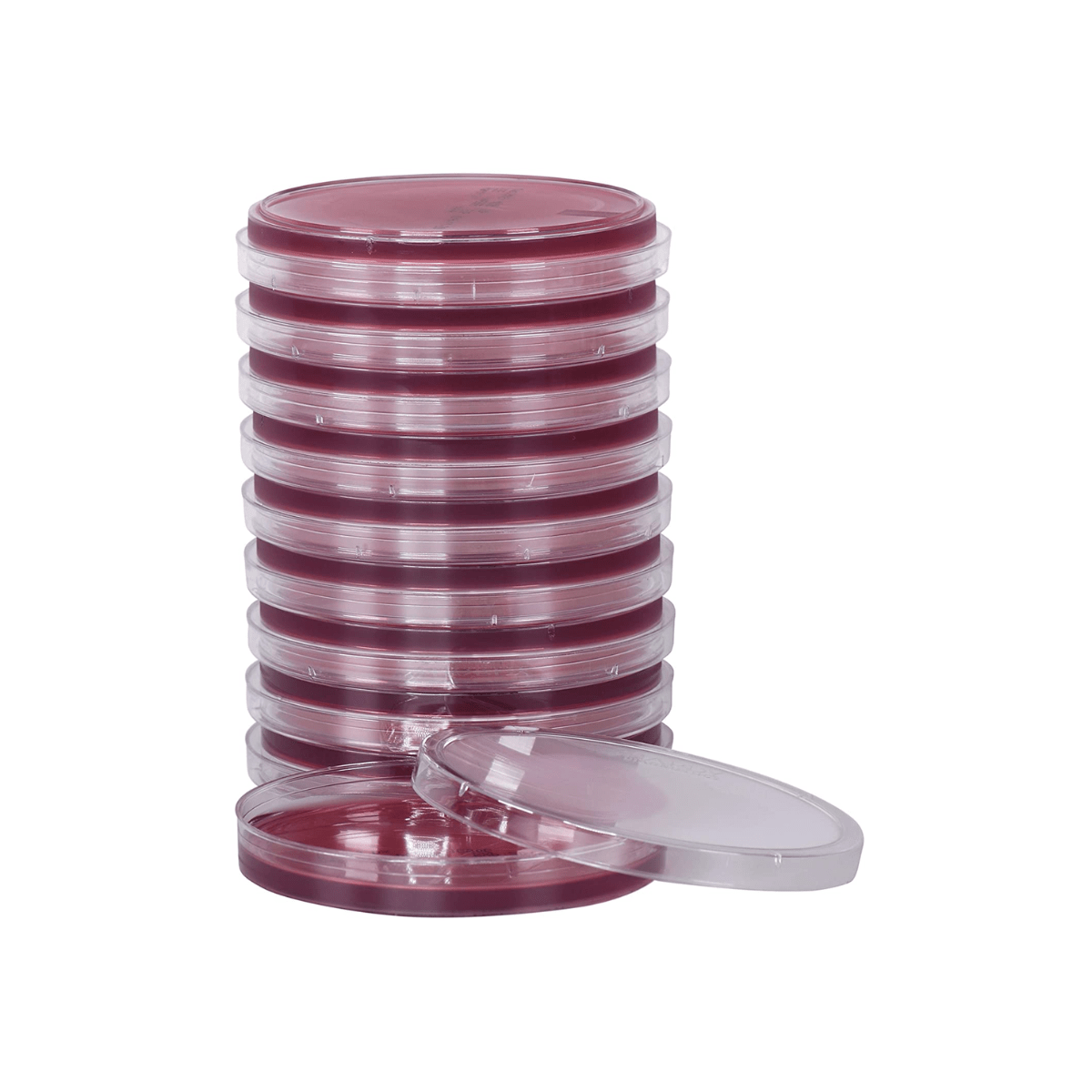 MacConkey Agar Plate - Pk 10