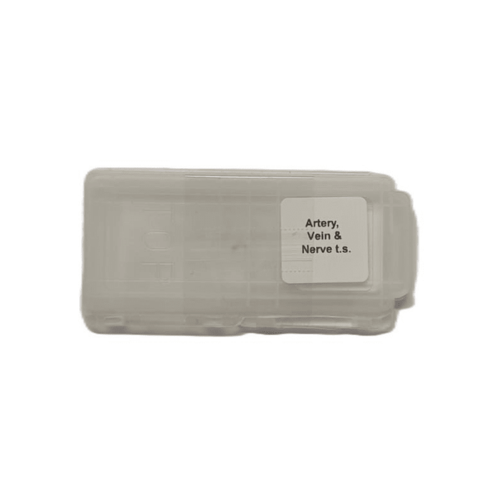 Microscope Slide - Artery, Vein and Nerve t.s. Individually packed in PP slide mailer