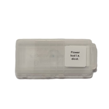 Microscope Slide - Flower bud l.s. dicot. Individually packed in PP slide mailer