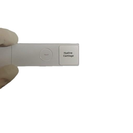 Microscope Slide - Hyaline Cartilage Individually packed in PP slide mailer