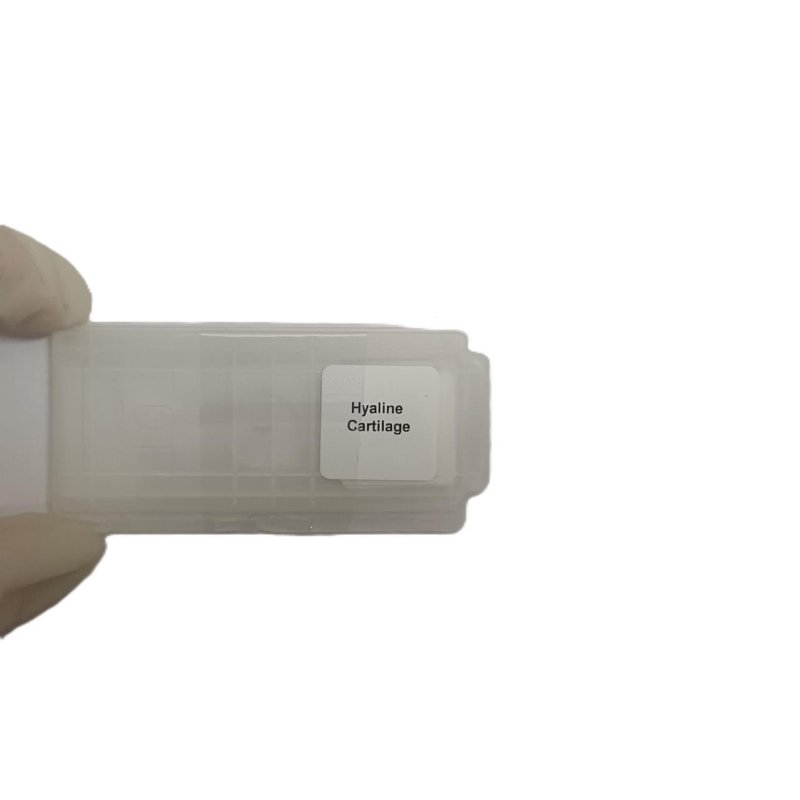 Microscope Slide - Hyaline Cartilage Individually packed in PP slide mailer