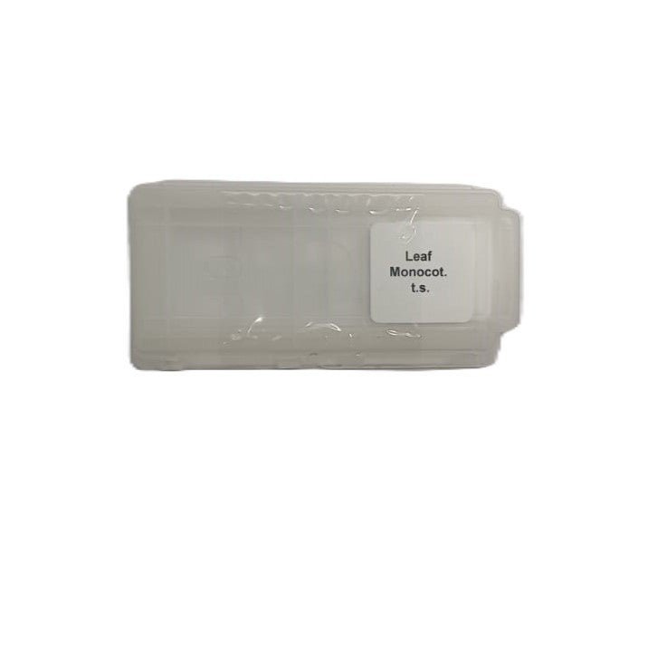 Microscope Slide - Leaf Monocot. t.s. Individually packed in PP slide mailer