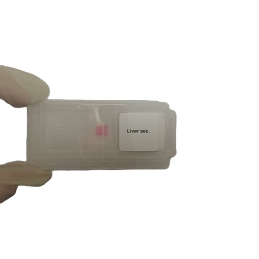 Microscope Slide - Liver sec. Individually packed in PP slide mailer