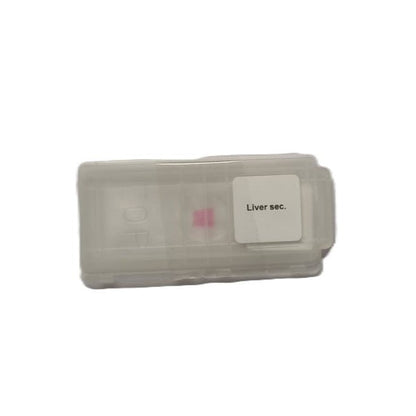 Microscope Slide - Liver sec. Individually packed in PP slide mailer