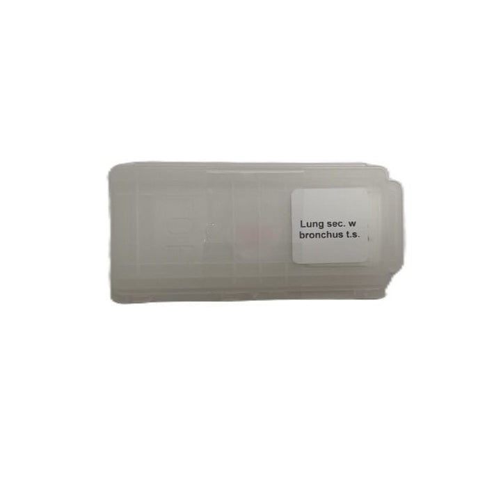 Microscope Slide - Lung sec. w bronchus t.s. Individually packed in PP slide mailer