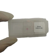Microscope Slide - Ovary mature sec Individually packed in PP slide mailer