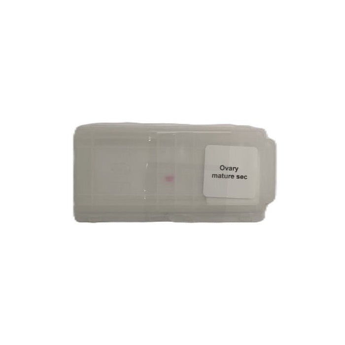Microscope Slide - Ovary mature sec Individually packed in PP slide mailer