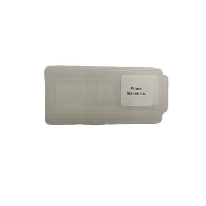 Microscope Slide - Pinus leaves t.s. Individually packed in PP slide mailer