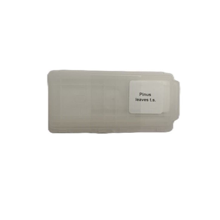 Microscope Slide - Pinus leaves t.s. Individually packed in PP slide mailer