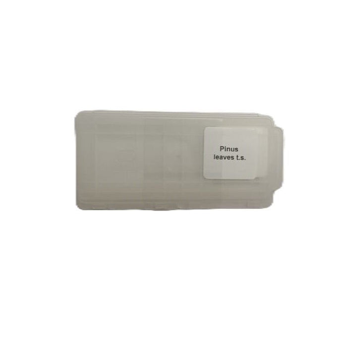 Microscope Slide - Pinus leaves t.s. Individually packed in PP slide mailer