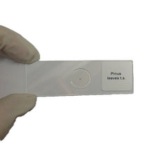 Microscope Slide - Pinus leaves t.s. Individually packed in PP slide mailer
