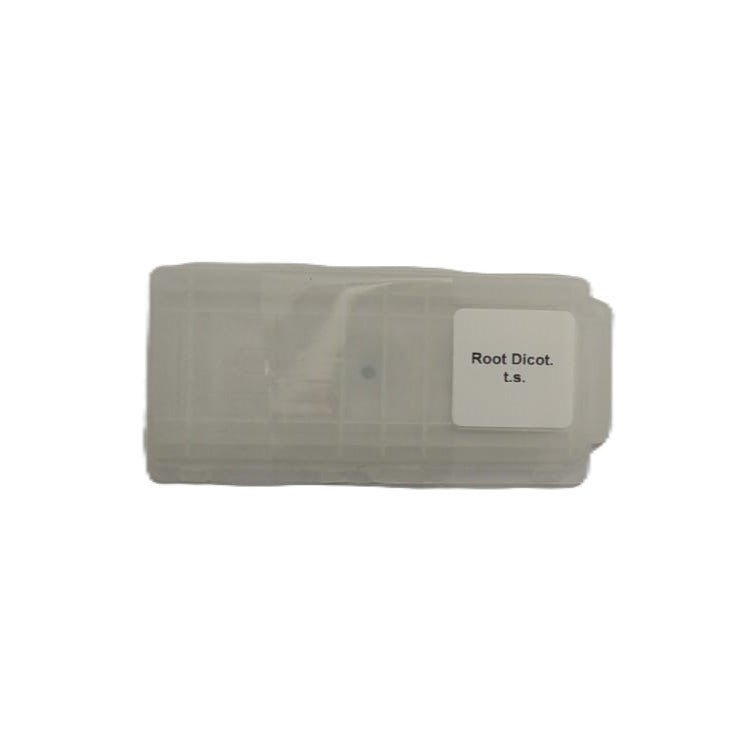 Microscope Slide - Root Dicot. t.s. Individually packed in PP slide mailer