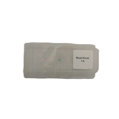 Microscope Slide - Root Dicot. t.s. Individually packed in PP slide mailer