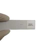 Microscope Slide - Skeletal muscle t.s. Individually packed in PP slide mailer