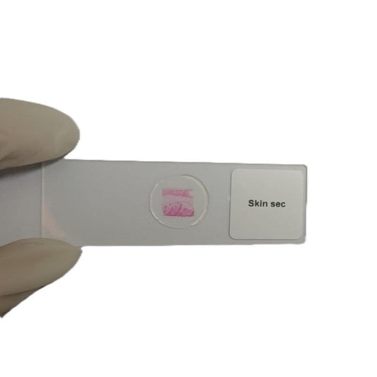 Microscope Slide - Skin sec Individually packed in PP slide mailer