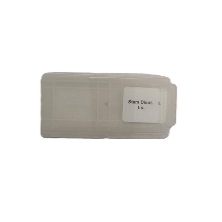 Microscope Slide - Stem Dicot. t.s. Individually packed in PP slide mailer