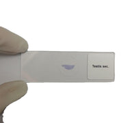 Microscope Slide - Testis sec. Individually packed in PP slide mailer