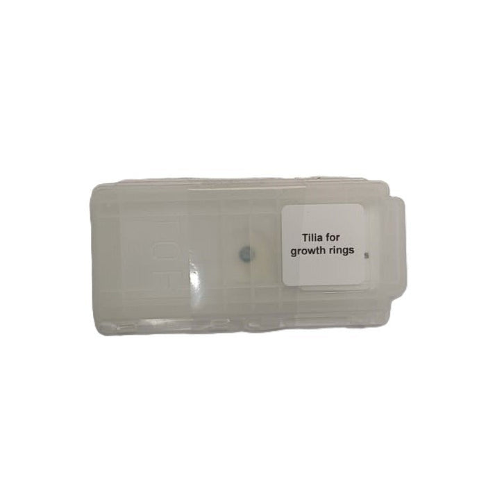 Microscope Slide - Tilia for growth rings Individually packed in PP slide mailer
