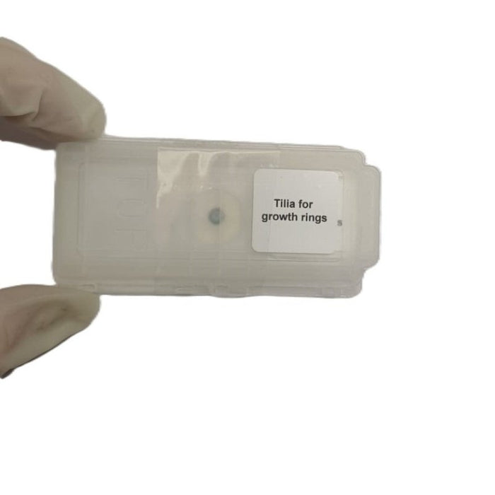 Microscope Slide - Tilia for growth rings Individually packed in PP slide mailer