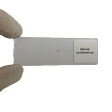 Microscope Slide - Uterus proliferative Individually packed in PP slide mailer