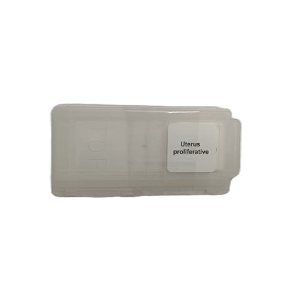 Microscope Slide - Uterus proliferative Individually packed in PP slide mailer