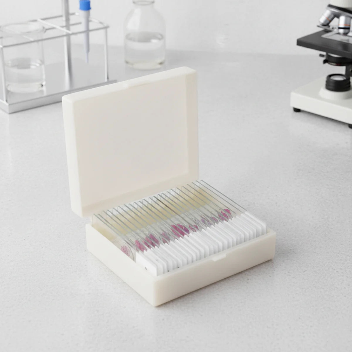 Box of prepared histology microscope slides with stained tissue samples