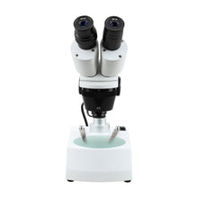 Microscope, Stereo Binocular 20 - 40x