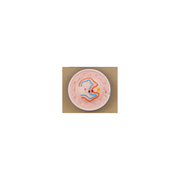 Model Animal Cell Division Meiosis - Mini