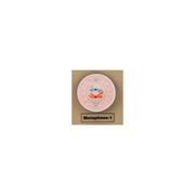 Model Animal Cell Division Meiosis - Mini