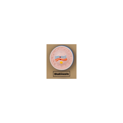 Model Animal Cell Division Meiosis - Mini