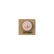 Model Animal Cell Division Mitosis - Mini