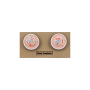 Model Animal Cell Division Mitosis - Mini