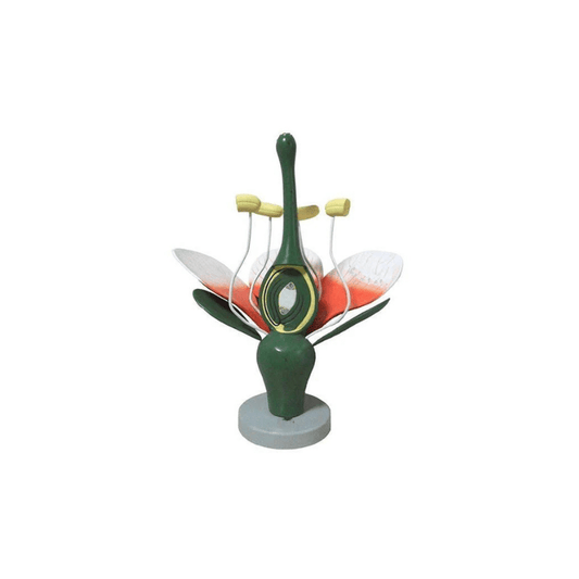 Model: Typical Flower (Large size on Base)
