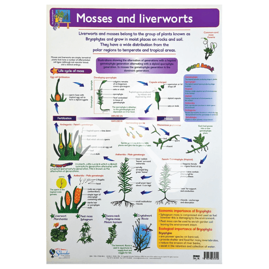 Mosses and liverworts Wall Chart