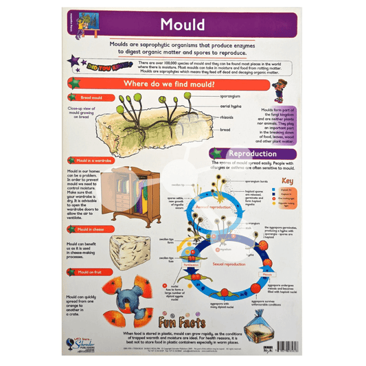 Mould Wall Chart