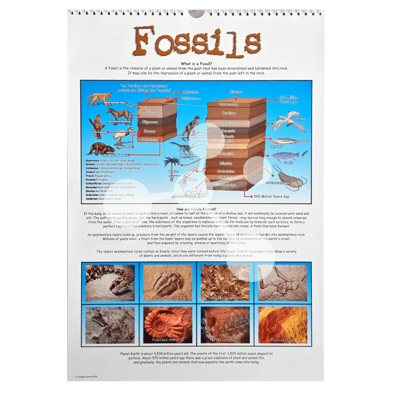 Fossils poster showing fossil types and geological time periods