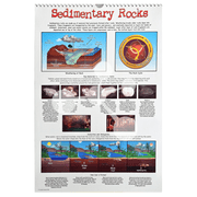 Sedimentary rocks poster showing rock cycle and fossil formation