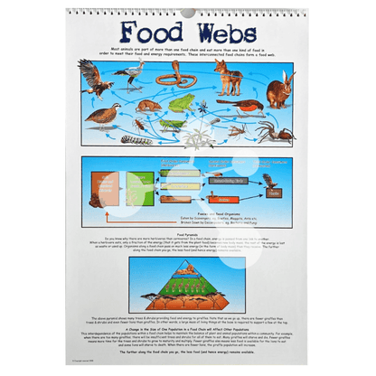 Food webs poster showing interconnected ecosystems and energy transfer
