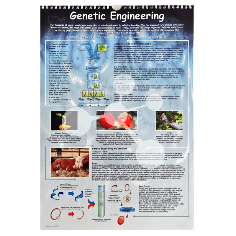 Genetic engineering poster showing DNA modification and applications