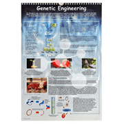 Genetic engineering poster showing DNA modification and applications