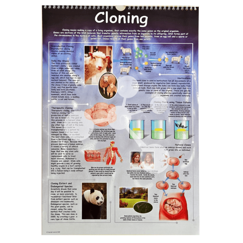 Cloning poster showing reproductive cloning and genetic duplication