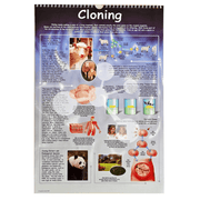Cloning poster showing reproductive cloning and genetic duplication