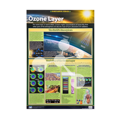 Ozone Layer Wall Chart