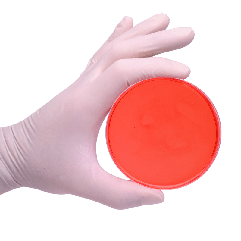 Petri Dish, PS material, Sterile
